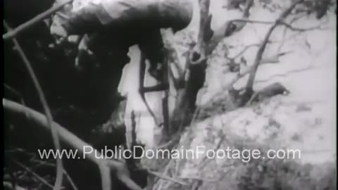 Battle for Peleliu Island WWII Newsreel archival footage PublicDomainFootage.com