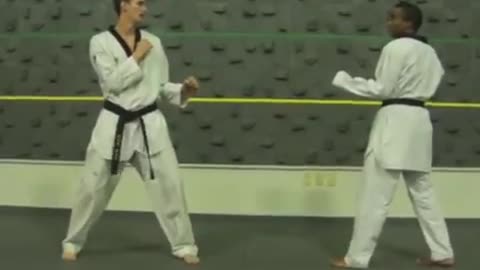 Taekwondo Sparring Techniques