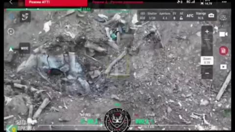 Wholesale batch of captive pigs taken alive by fighters of the "Ghost" squad
