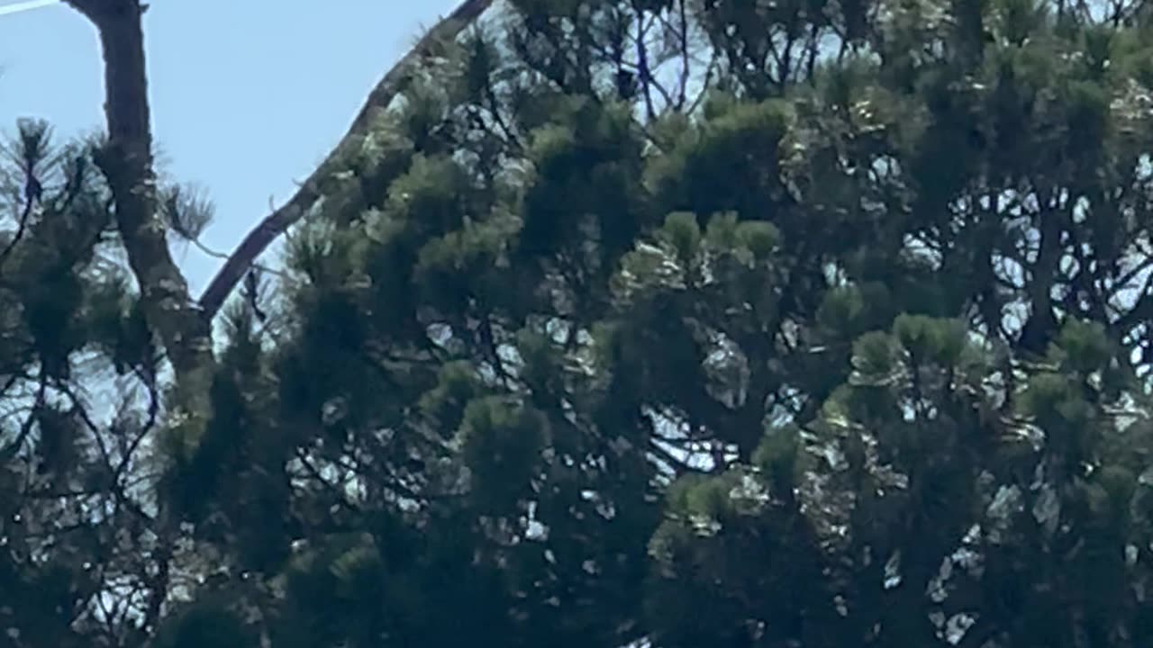 Criminal acts taking place!