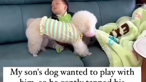 Sleep Tight