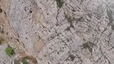 Zipline Goes Wrong