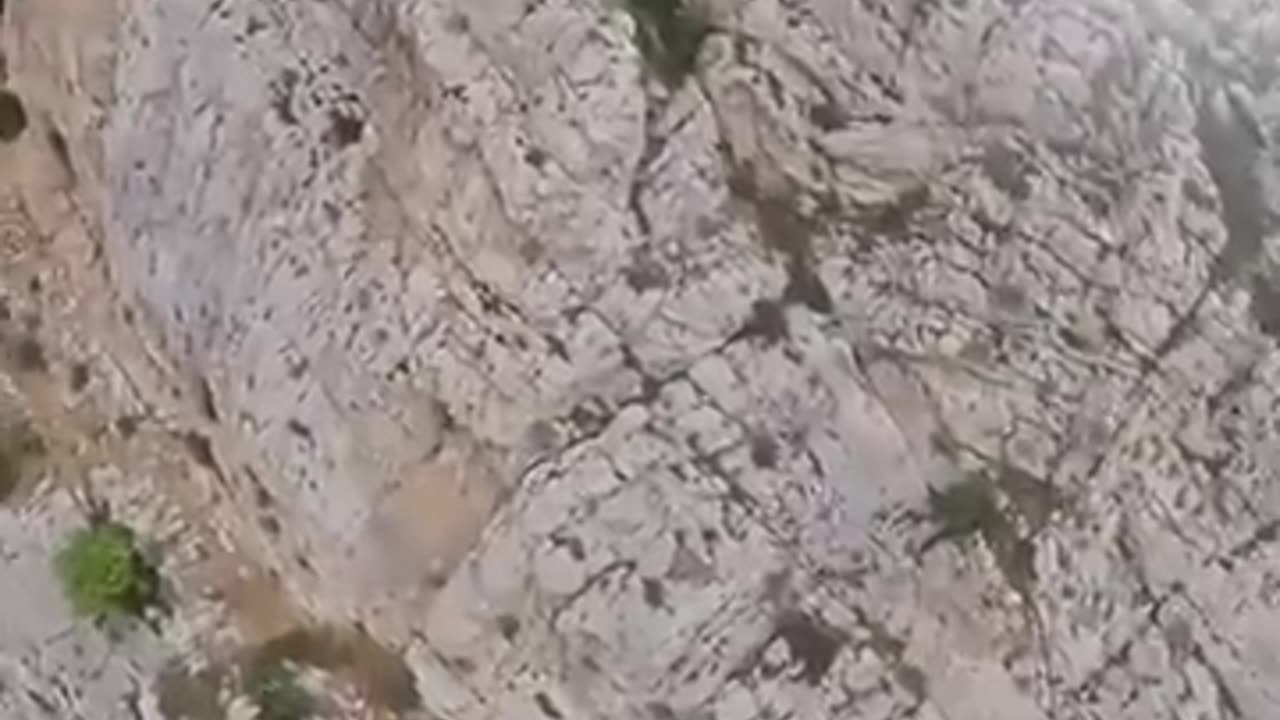 Zipline Goes Wrong