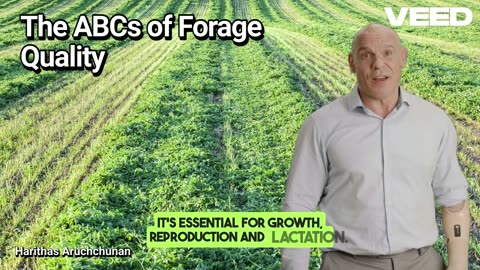 The ABCs of Forage Quality : Unlocking Better Feed and Healthier Dairy Herds