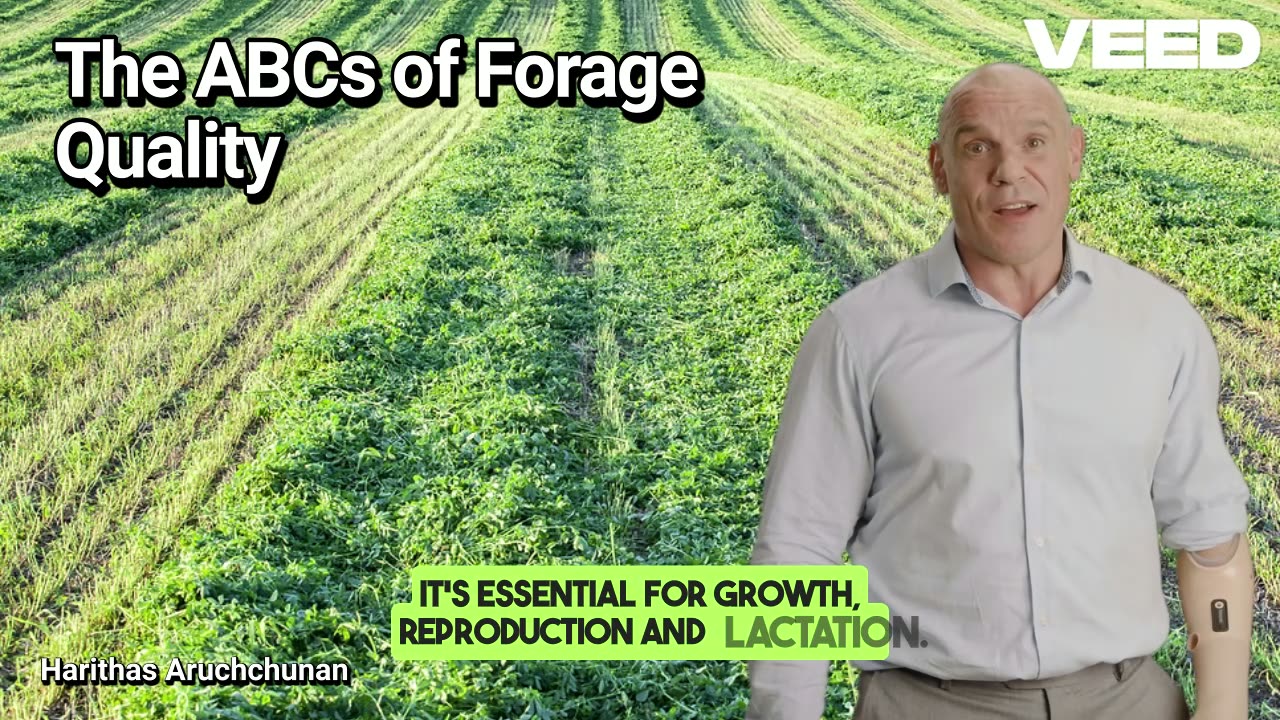 The ABCs of Forage Quality : Unlocking Better Feed and Healthier Dairy Herds