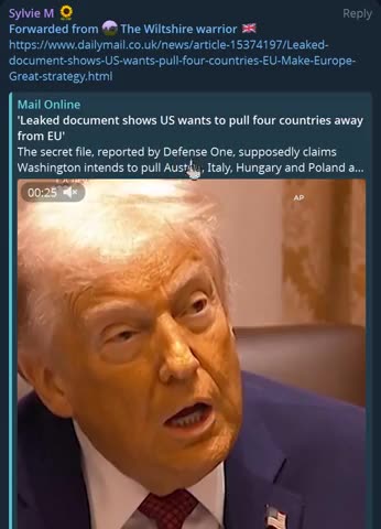Leaked Document claims US looking to pull four countries out of the EU - Daily Mail
