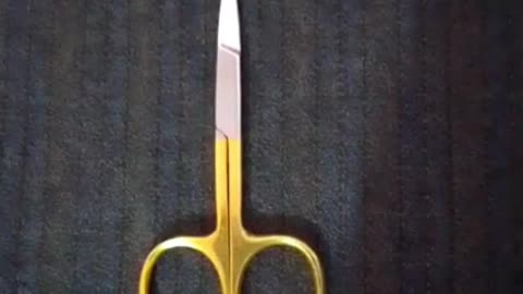 Nail Scissor