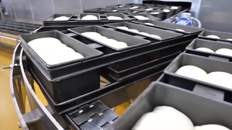 You'll be surprised! Our Wheat 100 bread, chestnut bread automated production line