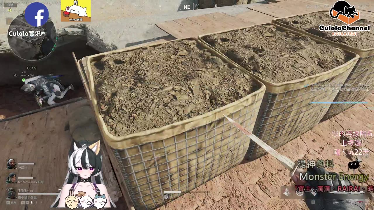 🌱vs🧟♀️ New version⭐新手向⭐🥺倉鼠系玩家🥺| 來聊天R ✨💎(๑˃̵ᴗ˂̵)و Culolo Channel(๑˃̵ᴗ˂̵)و 5 Taiwan優質台💎✨