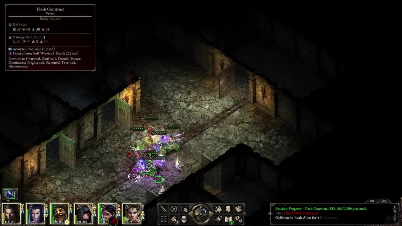 Madness and Soul manipulation | Pillars of Eternity | pt 13