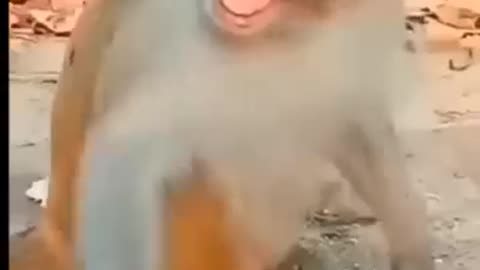 funny baby 👶😅 video #comedy #funnymonkey #babyvoice #shorts
