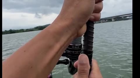 This Incredible Fishing Trick Will Blow Your Mind!