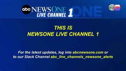 TWO CATS U.S. POLITICAL NEWS