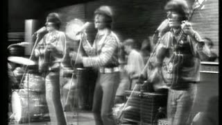 Beat Club 1966 = Hollies, Moody Blues, Easybeats, Spencer Davis Group, The Birds & Bees