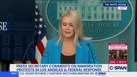 Karoline Leavitt: We are looking into, about who is funding these insurrectionists