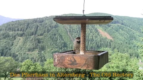 Old Rectory in Austria