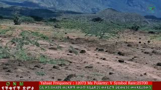 መስከረም 14-2025 ONM-ABO እለታዊ የኦሮሞ ነፃነት ሰራዊትና የኦሮሚያ ውሎ!