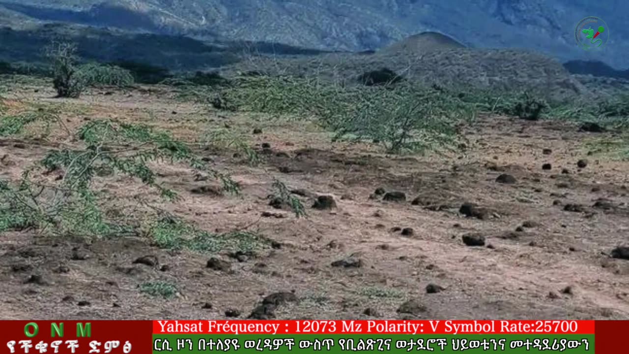 መስከረም 14-2025 ONM-ABO እለታዊ የኦሮሞ ነፃነት ሰራዊትና የኦሮሚያ ውሎ!