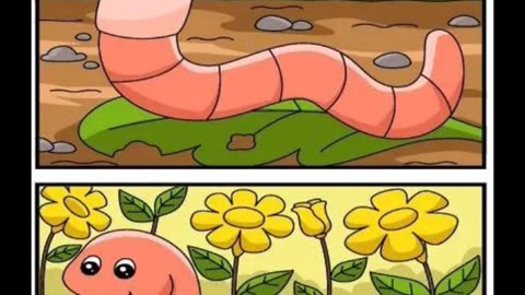 Can you catch all the differences