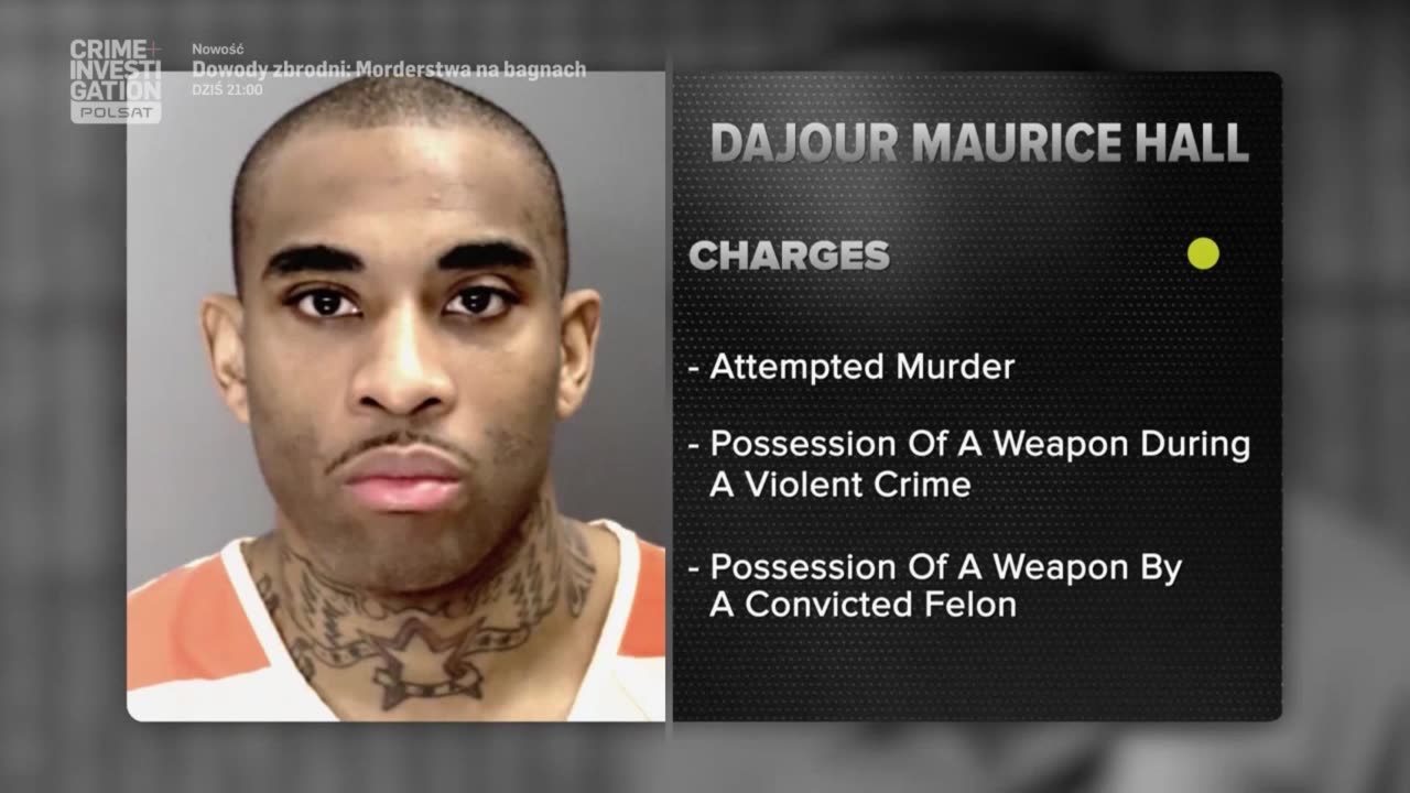 COURT CAM 26 lektor pl