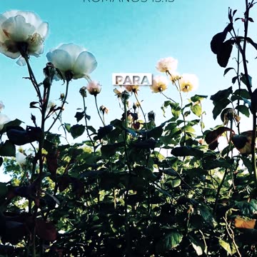 #jesus #trinitas #cristo #yeshuaROMANOS 15 13