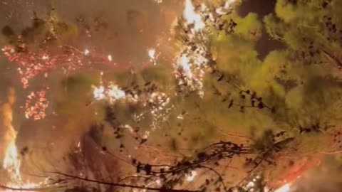 🔥🌍 Wildfires Rage on Chios Island, Greece—A Devastating Scene | FeedMyCuriosity