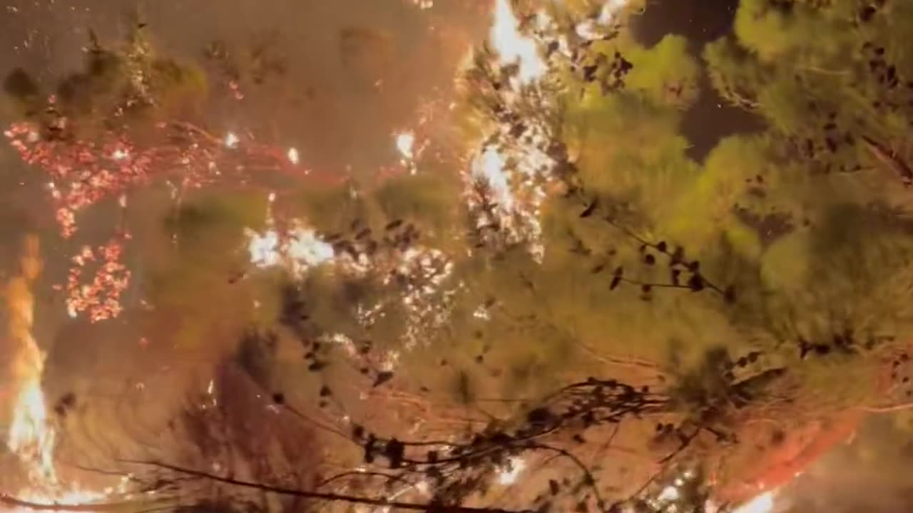 🔥🌍 Wildfires Rage on Chios Island, Greece—A Devastating Scene | FeedMyCuriosity