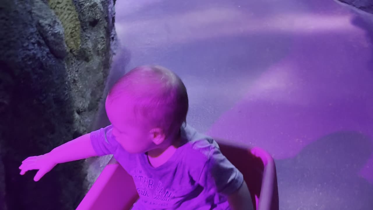 Trip to aquarium