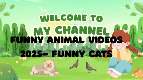 Funny animal videos 2025- Funny cats/dogs - Funny animals