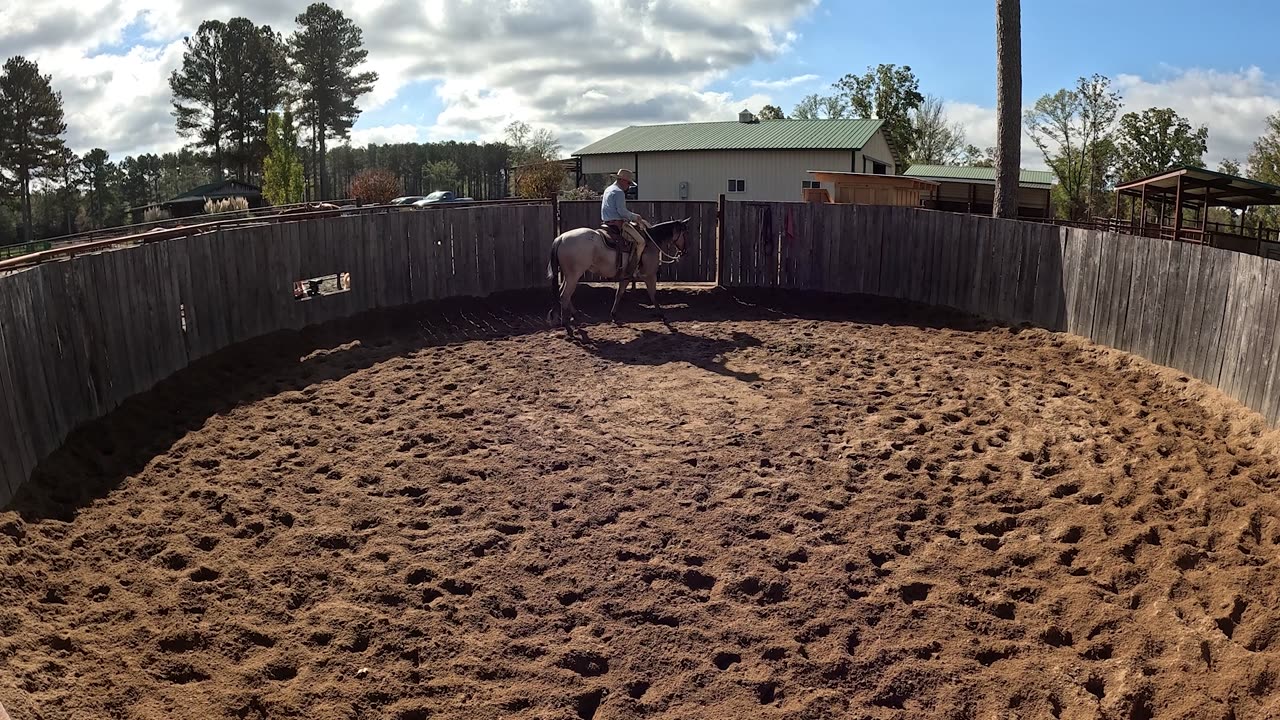 Epic Success Starting the Rope Horse Day 5 Preview