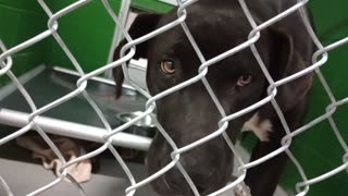 VID_20251128_181904159