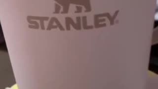 STANLEY Quencher H2.0 Tumbler with Handle and Straw 40 oz Flowstate 3-Position Lid Cup