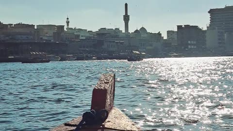 Amazing RTA Boat Ride at Old Gold Souk