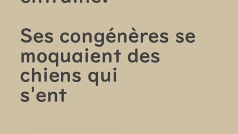 Un chien qui marche sur deux pattes - Huhito Fables-Version française Vol.22