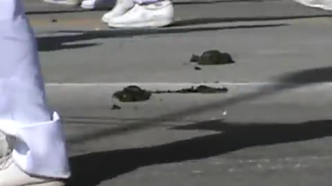 Parade Tramples Crap