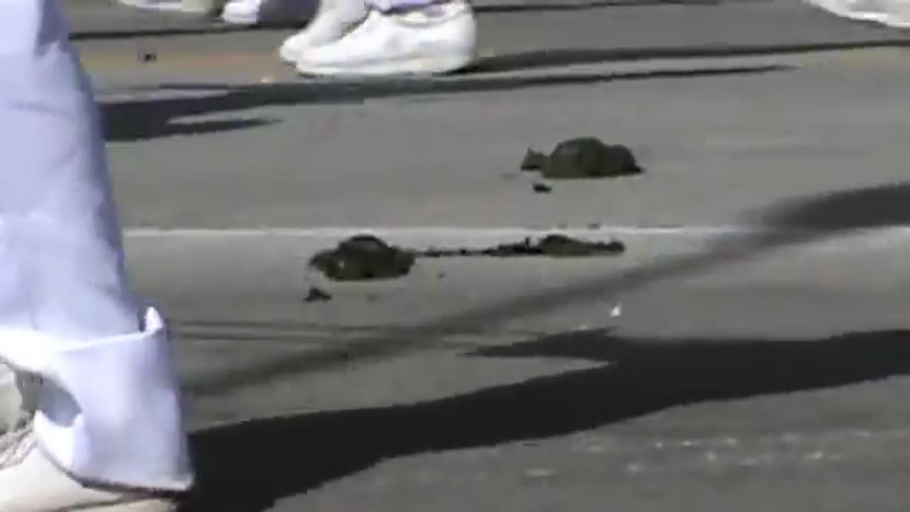 Parade Tramples Crap