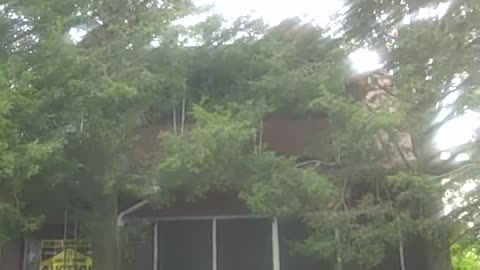 GOOD PROPERTY FOR TIM...THESHEASHOW.COM
