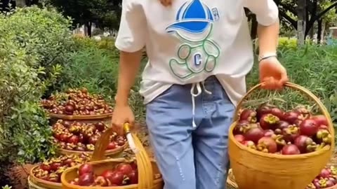 Satisfying Fruit Cutting ASMR | .