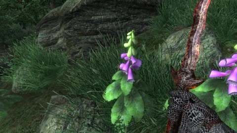The Elder Scrolls IV: Oblivion