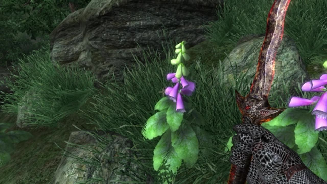 The Elder Scrolls IV: Oblivion