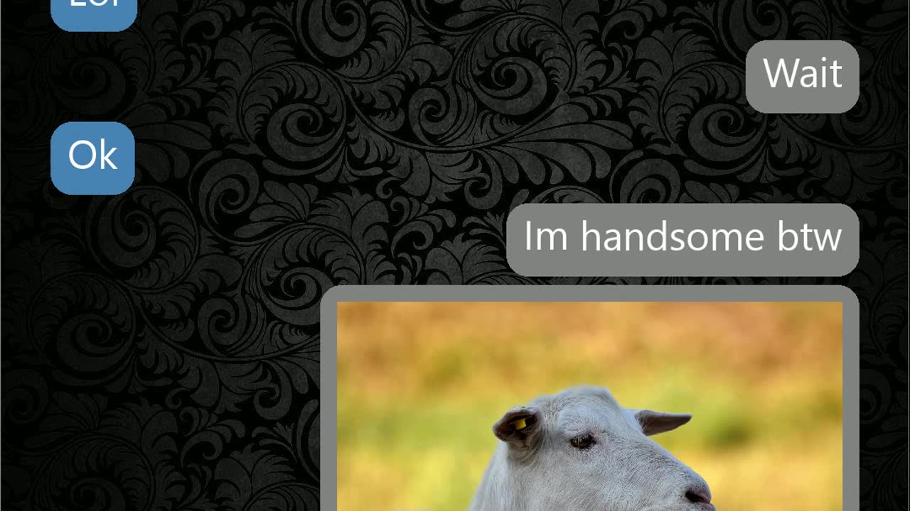 "I am handsome btw"
