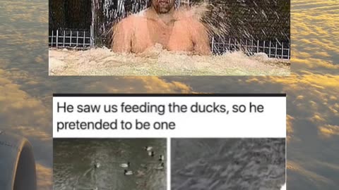 Memes