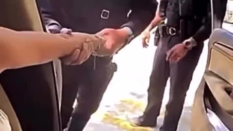 An illegal alien refused to step out of the car One second later... Thank you, officer.