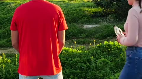 Adventure Ready! Smart Tips for the Perfect Road Trip