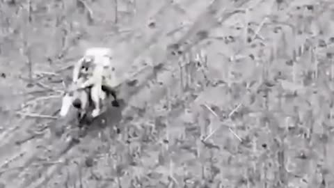 Russian Calvary Targeted By Kamikaze Drone