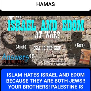 Palestine your NO VICTIM!