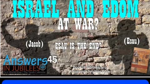 Palestine your NO VICTIM!