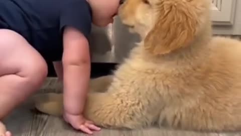 Kids and Dogs Loving Each Other ❤️🐶 / Copii și Câini Ce Se Adoră ❤️🐾