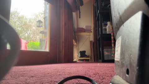 11/28/25 Gymnik VOD: "Gymnik 🌞 is live!"