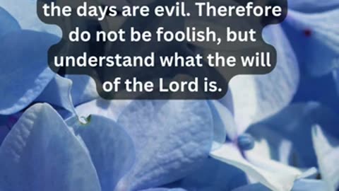 Journey of faith and spiritual growth Ephesians 5:15-17 Daily Bible Verse